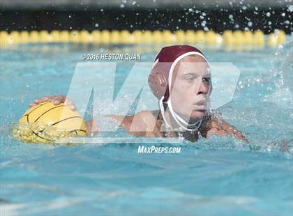 Thumbnail 3 in Poly @ Esperanza photogallery.