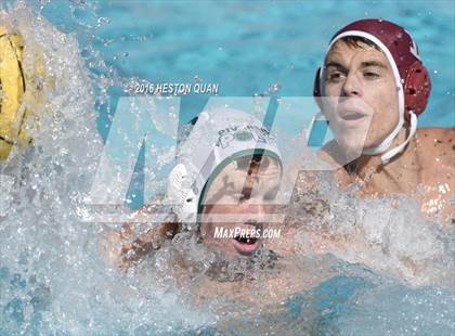 Thumbnail 2 in Poly @ Esperanza photogallery.