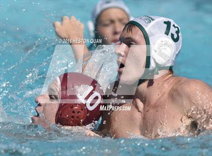 Thumbnail 2 in Poly @ Esperanza photogallery.