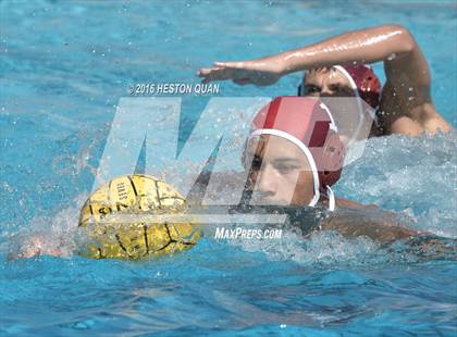 Thumbnail 3 in Poly @ Esperanza photogallery.