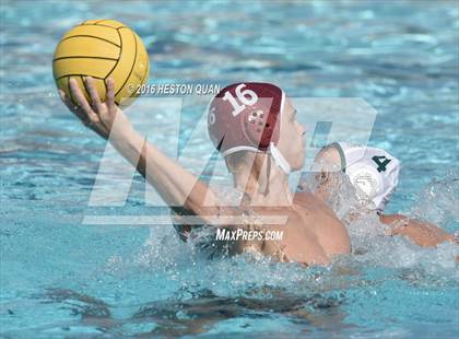 Thumbnail 3 in Poly @ Esperanza photogallery.