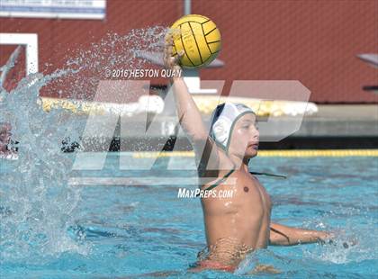 Thumbnail 1 in Poly @ Esperanza photogallery.