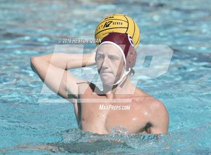 Thumbnail 3 in Poly @ Esperanza photogallery.
