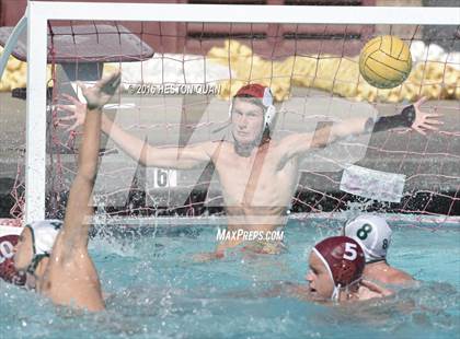 Thumbnail 2 in Poly @ Esperanza photogallery.