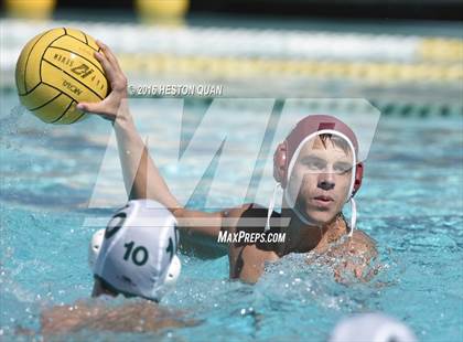 Thumbnail 1 in Poly @ Esperanza photogallery.