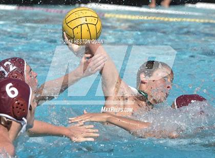Thumbnail 3 in Poly @ Esperanza photogallery.