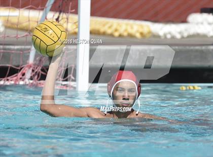 Thumbnail 2 in Poly @ Esperanza photogallery.