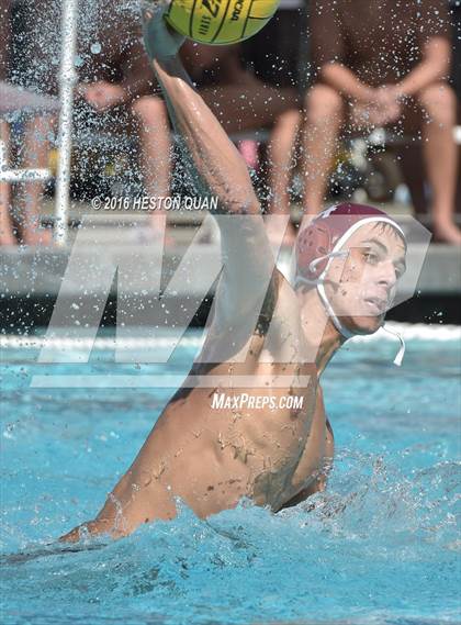 Thumbnail 2 in Poly @ Esperanza photogallery.