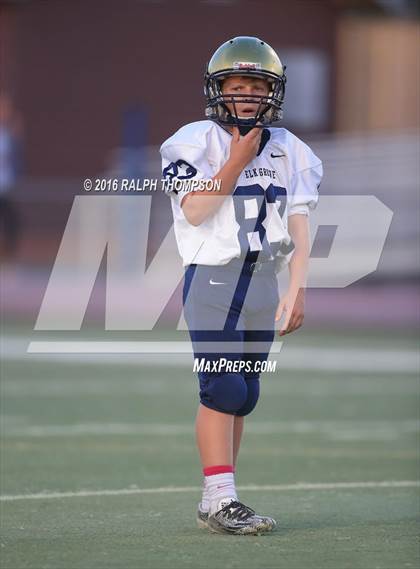 Thumbnail 1 in Elk Grove @ Pleasant Grove photogallery.
