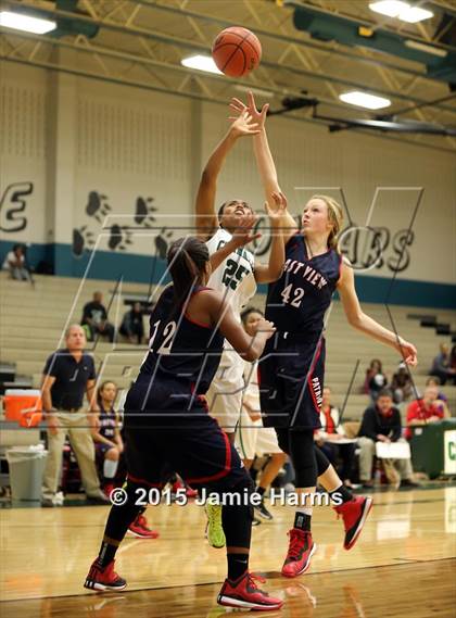 Thumbnail 2 in East View @ Pflugerville Connally photogallery.