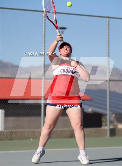 Thumbnail 3 in Desert View @ Sahuaro photogallery.
