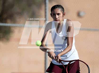 Thumbnail 3 in Desert View @ Sahuaro photogallery.