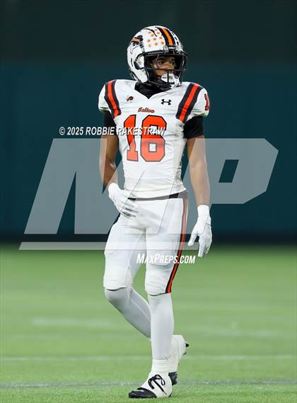 Thumbnail 2 in Haltom @ Bowie photogallery.