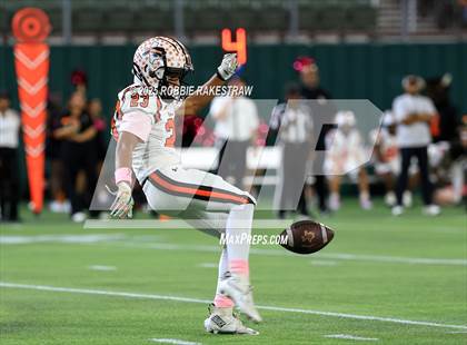 Thumbnail 2 in Haltom @ Bowie photogallery.