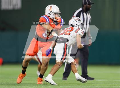Thumbnail 2 in Haltom @ Bowie photogallery.