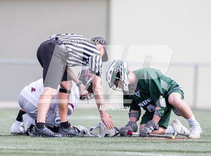 Thumbnail 1 in Conifer @ Chatfield photogallery.