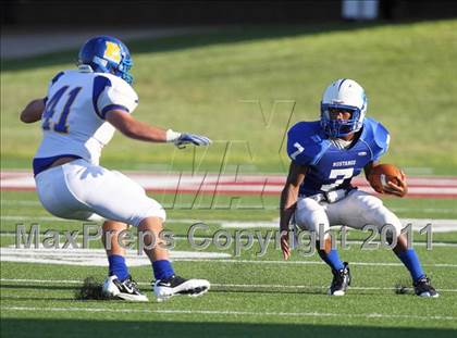 Thumbnail 1 in Klein @ Aldine photogallery.
