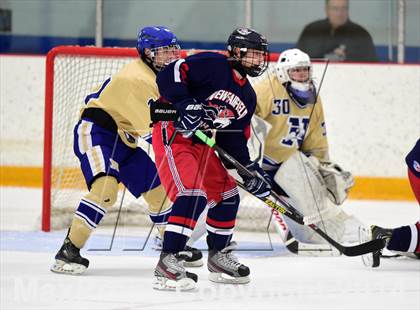 Thumbnail 3 in New Fairfield/Immaculate vs. Newtown (SCC-SWC D3 Final) photogallery.