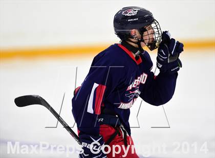 Thumbnail 1 in New Fairfield/Immaculate vs. Newtown (SCC-SWC D3 Final) photogallery.