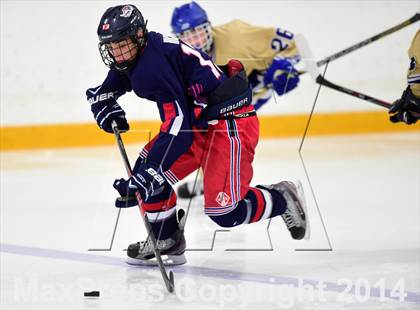 Thumbnail 1 in New Fairfield/Immaculate vs. Newtown (SCC-SWC D3 Final) photogallery.