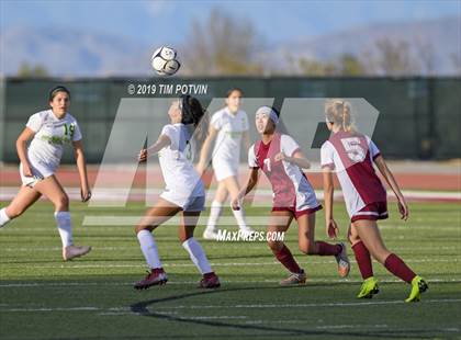 Thumbnail 2 in Poly @ Paloma Valley photogallery.