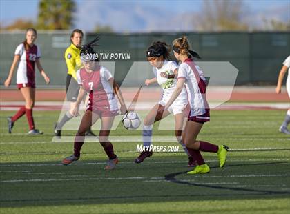 Thumbnail 3 in Poly @ Paloma Valley photogallery.