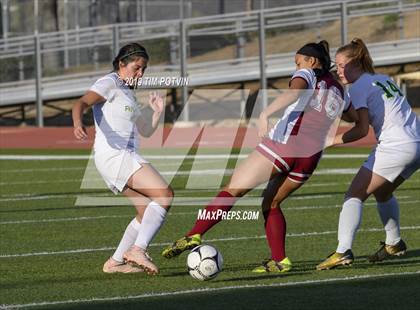 Thumbnail 2 in Poly @ Paloma Valley photogallery.
