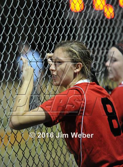 Thumbnail 3 in Hudson @ Pasco photogallery.