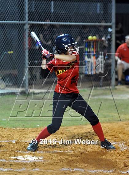 Thumbnail 3 in Hudson @ Pasco photogallery.