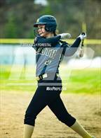 Photo from the gallery "South Anchorage @ Eagle River"