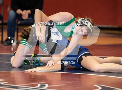 Thumbnail 3 in NY State Intersectional Girls Wrestling Championships (2 of 2)   photogallery.