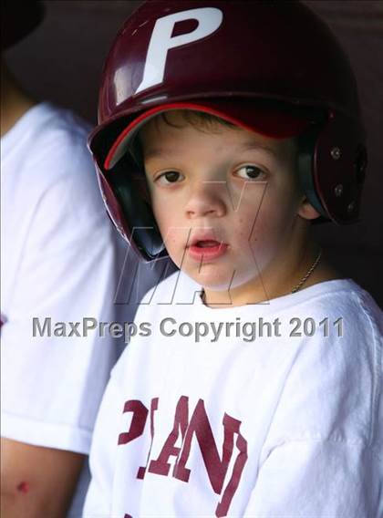 Thumbnail 3 in Sachse @ Plano photogallery.
