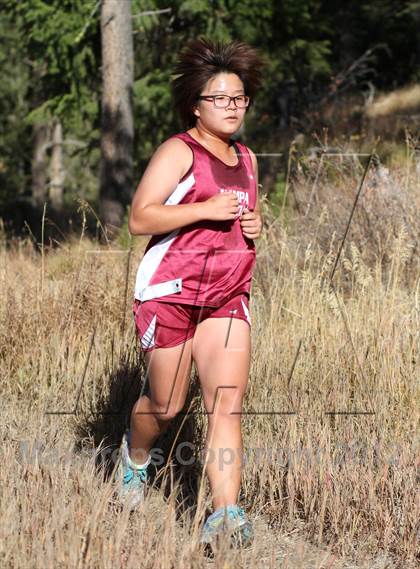 Thumbnail 1 in 1A-2A D3 District Meet photogallery.
