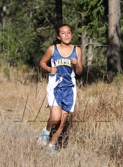 Thumbnail 1 in 1A-2A D3 District Meet photogallery.