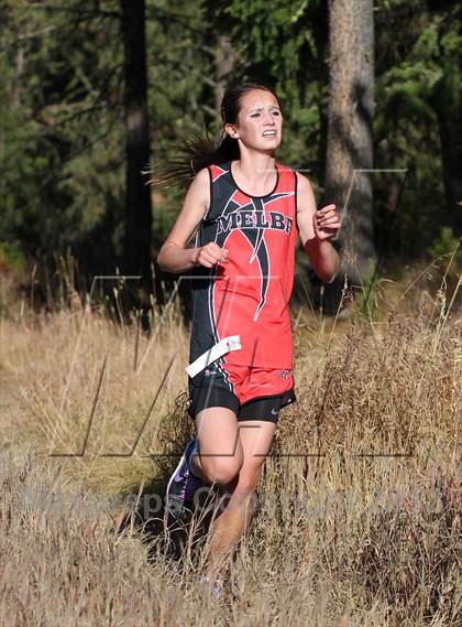 Thumbnail 1 in 1A-2A D3 District Meet photogallery.