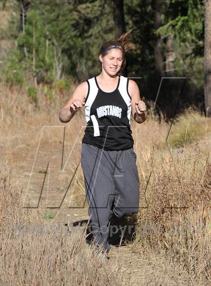 Thumbnail 3 in 1A-2A D3 District Meet photogallery.