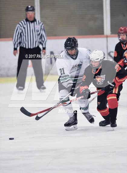 Thumbnail 3 in Chaparral vs Flagstaff (AHSHA Semifinal Playoff) photogallery.
