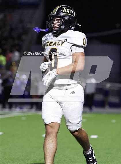 Thumbnail 3 in Sealy @ Needville photogallery.