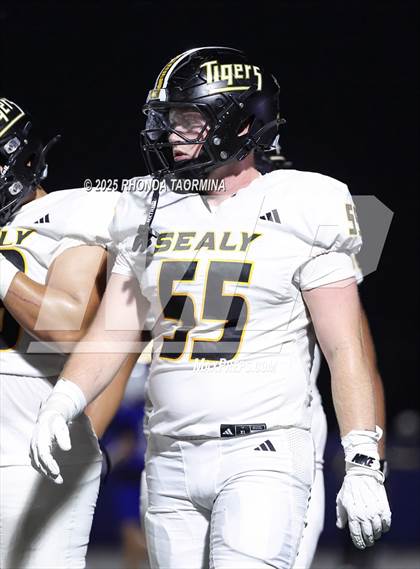 Thumbnail 3 in Sealy @ Needville photogallery.