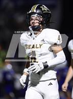 Photo from the gallery "Sealy @ Needville"