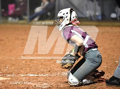 Thumbnail 1 in Snook vs Iola photogallery.