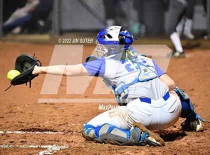 Thumbnail 1 in Snook vs Iola photogallery.