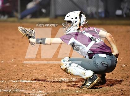 Thumbnail 2 in Snook vs Iola photogallery.