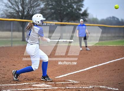 Thumbnail 1 in Snook vs Iola photogallery.