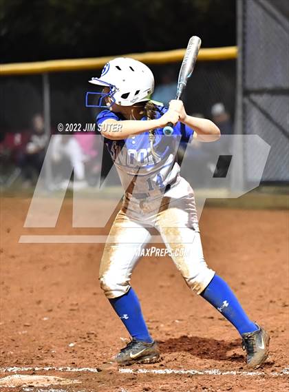 Thumbnail 1 in Snook vs Iola photogallery.