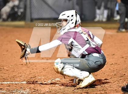 Thumbnail 3 in Snook vs Iola photogallery.