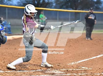 Thumbnail 3 in Snook vs Iola photogallery.