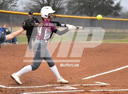 Thumbnail 3 in Snook vs Iola photogallery.