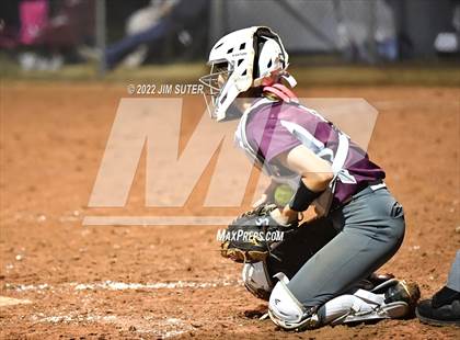 Thumbnail 2 in Snook vs Iola photogallery.