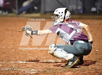 Thumbnail 3 in Snook vs Iola photogallery.